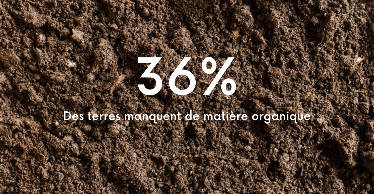 compostage et matière organique 