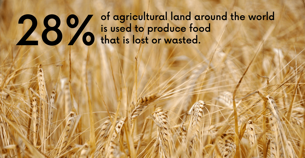 food waste