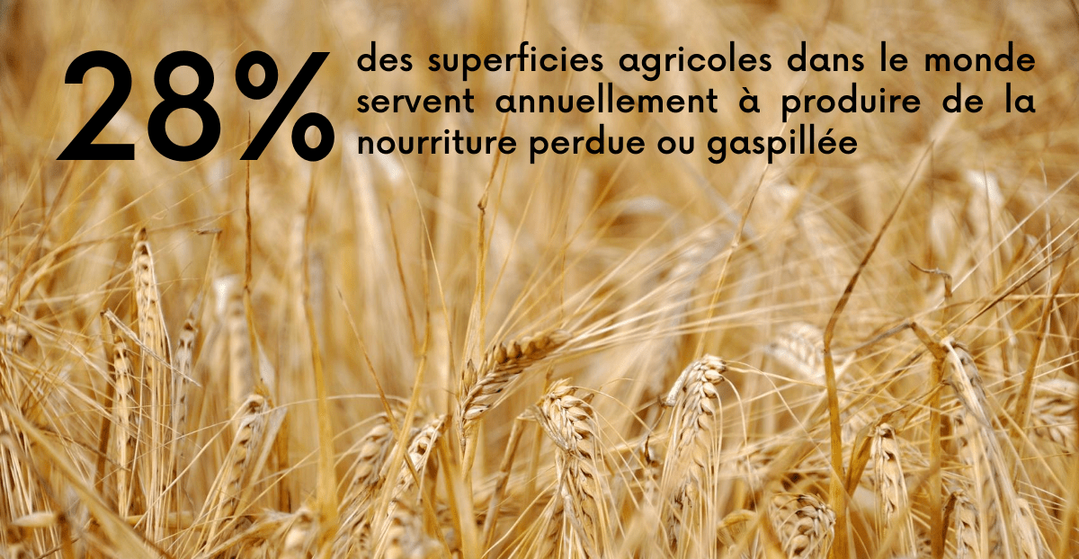 gaspillage alimentaire 
